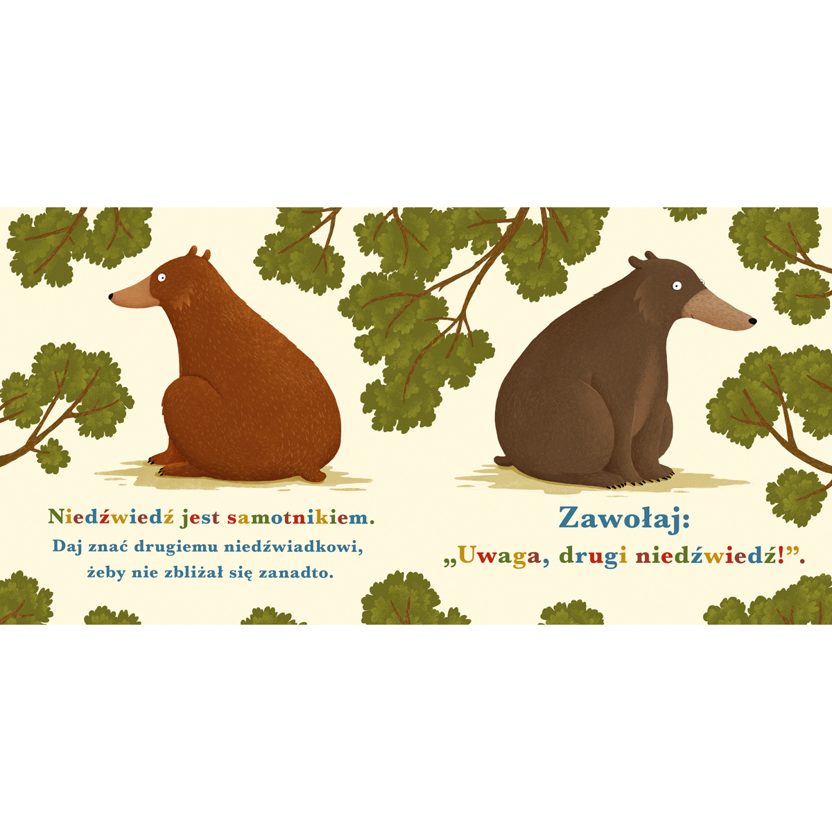 ROK W LESIE NIEDZWIEDŹ