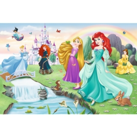 Puzzle - 60 - Poznaj Księżniczki - Disney Princess